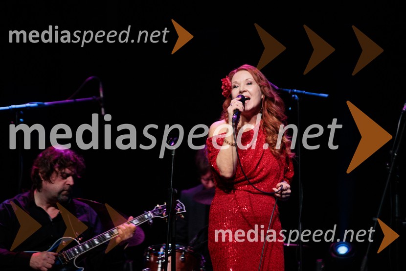 Rotary Latino večer, dobrodelni dogodek Rotary Cluba Ljubljana