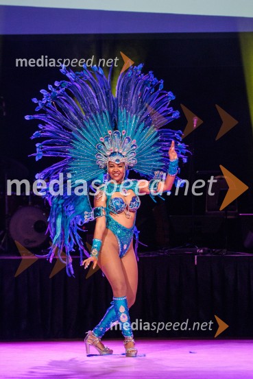 Rotary Latino večer, dobrodelni dogodek Rotary Cluba Ljubljana