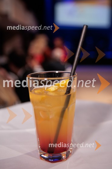 Rotary Latino večer, dobrodelni dogodek Rotary Cluba Ljubljana