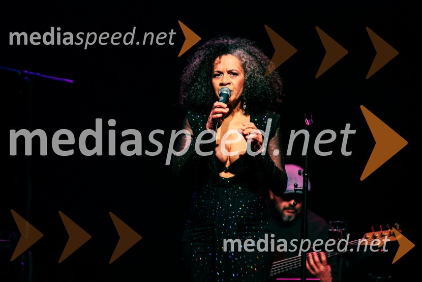 Rotary Latino večer, dobrodelni dogodek Rotary Cluba Ljubljana