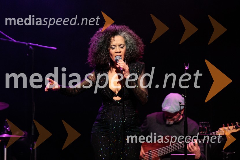 Rotary Latino večer, dobrodelni dogodek Rotary Cluba Ljubljana