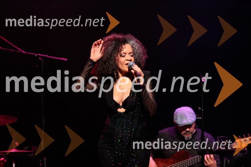 Rotary Latino večer, dobrodelni dogodek Rotary Cluba Ljubljana