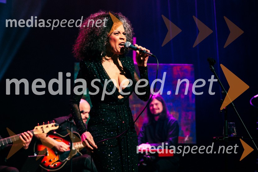 Rotary Latino večer, dobrodelni dogodek Rotary Cluba Ljubljana