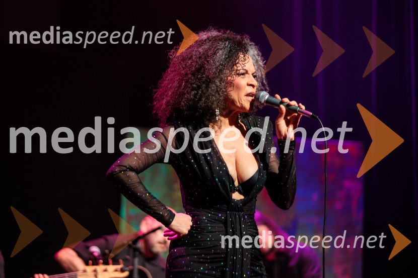 Rotary Latino večer, dobrodelni dogodek Rotary Cluba Ljubljana