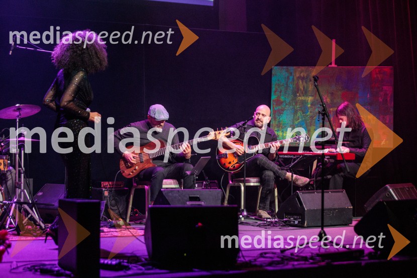 Rotary Latino večer, dobrodelni dogodek Rotary Cluba Ljubljana