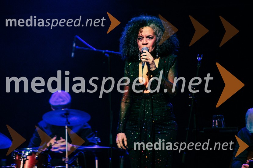 Rotary Latino večer, dobrodelni dogodek Rotary Cluba Ljubljana