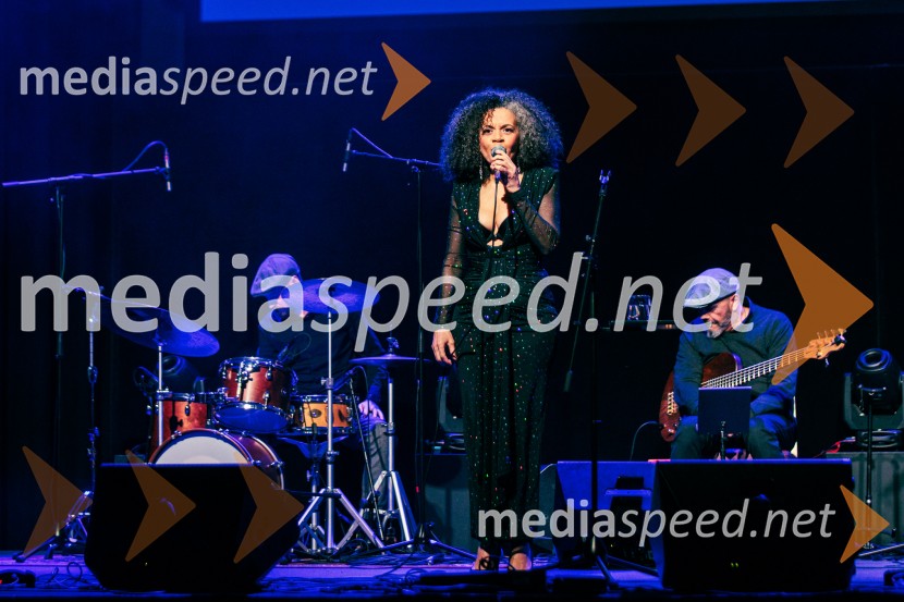 Rotary Latino večer, dobrodelni dogodek Rotary Cluba Ljubljana