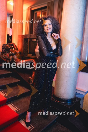 Rotary Latino večer, dobrodelni dogodek Rotary Cluba Ljubljana