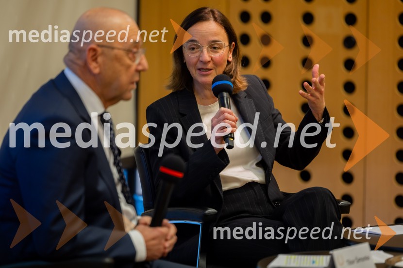 Slovenski konzularni zbor, redna letna skupščina 2026