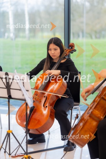 Slovenski konzularni zbor, redna letna skupščina 2026