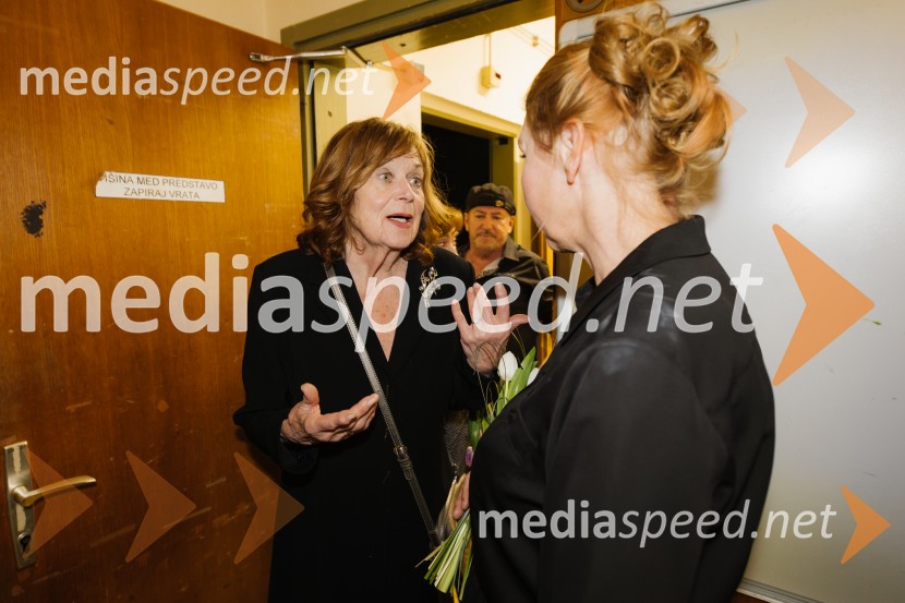 56. Teden slovenske drame, slavnostna otvoritev