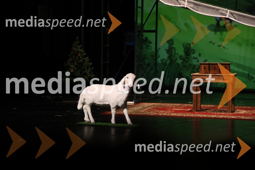 Kekec proti kekcu, premiera SNG Nova Gorica