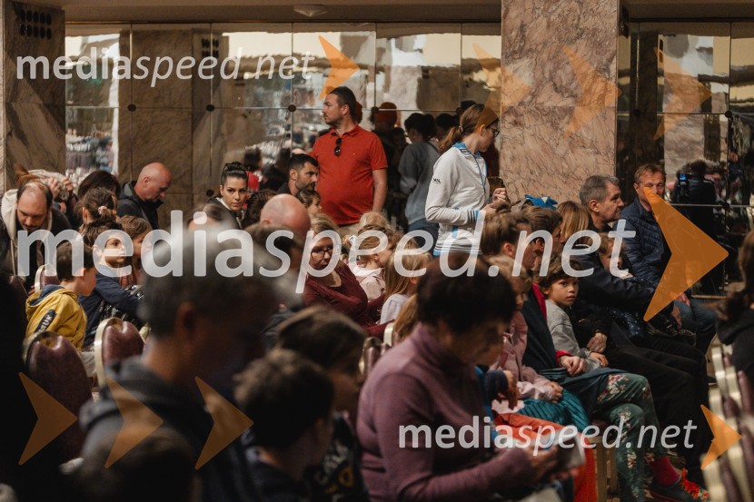Otroški festival gledaliških sanj, Pionirski dom