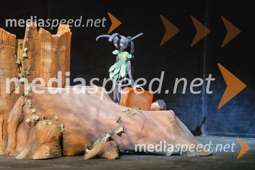 Otroški festival gledaliških sanj, Pionirski dom