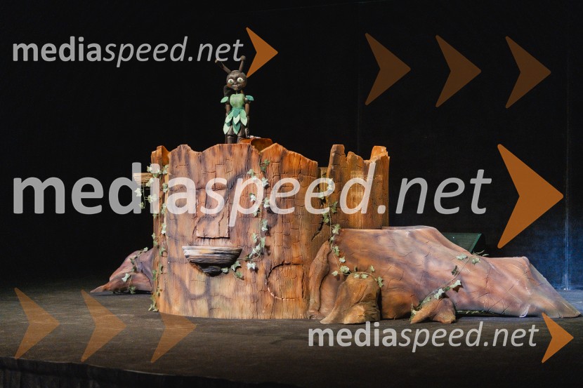 Otroški festival gledaliških sanj, Pionirski dom