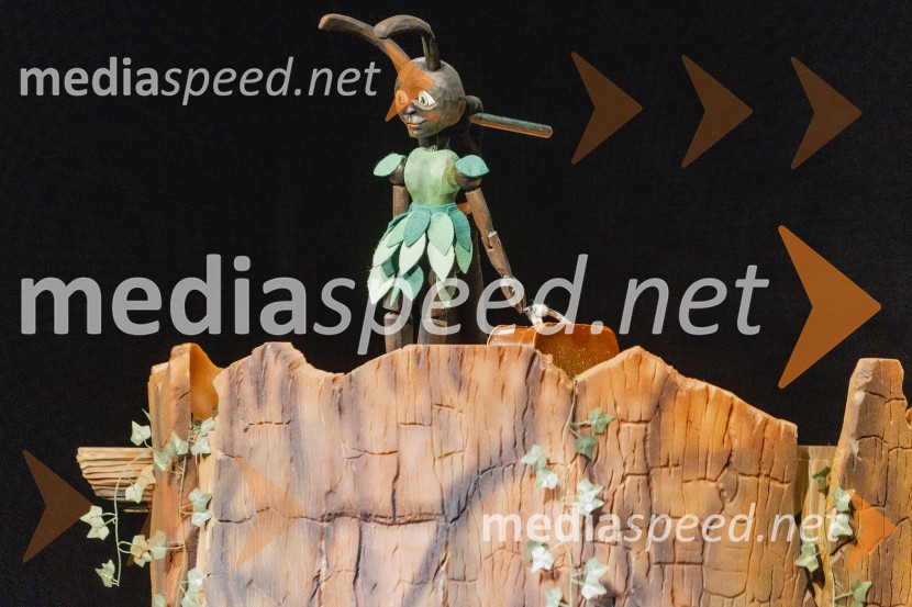 Otroški festival gledaliških sanj, Pionirski dom