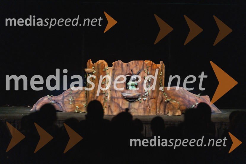 Otroški festival gledaliških sanj, Pionirski dom