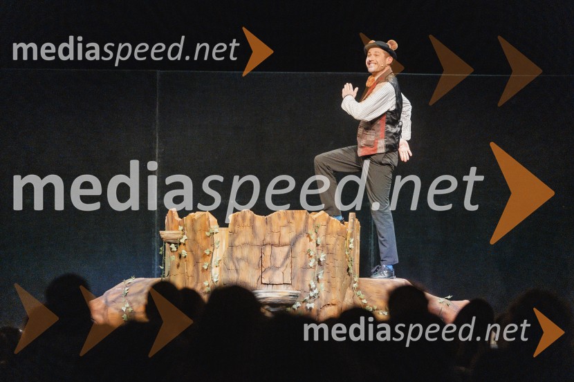 Otroški festival gledaliških sanj, Pionirski dom