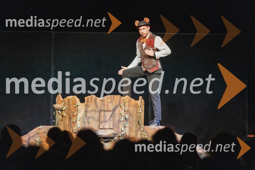 Otroški festival gledaliških sanj, Pionirski dom