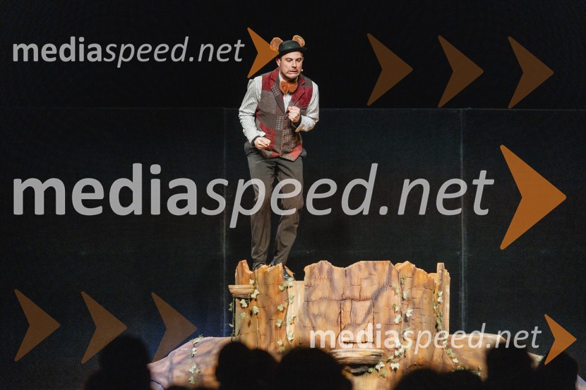 Otroški festival gledaliških sanj, Pionirski dom