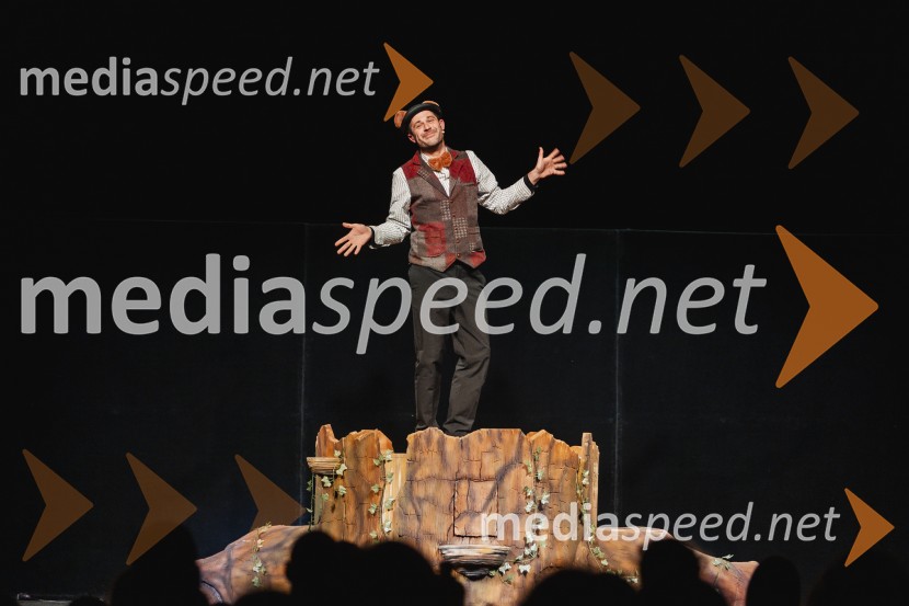 Otroški festival gledaliških sanj, Pionirski dom