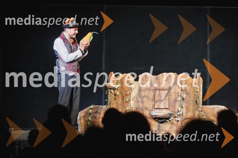 Otroški festival gledaliških sanj, Pionirski dom