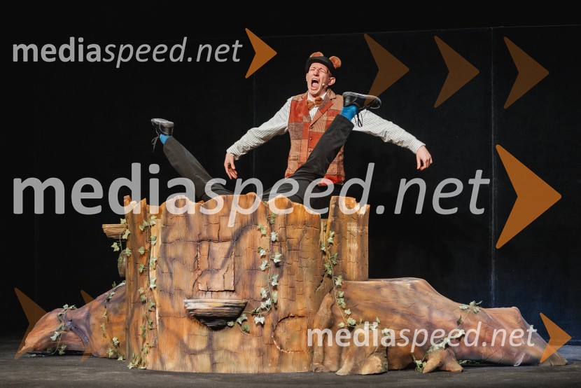 Otroški festival gledaliških sanj, Pionirski dom