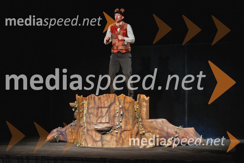 Otroški festival gledaliških sanj, Pionirski dom