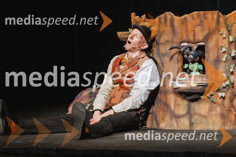 Otroški festival gledaliških sanj, Pionirski dom