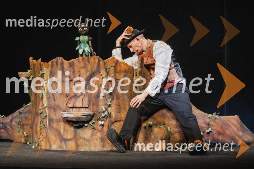 Otroški festival gledaliških sanj, Pionirski dom