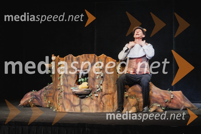 Otroški festival gledaliških sanj, Pionirski dom