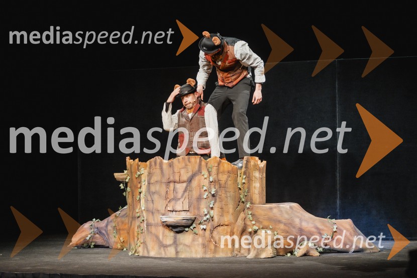 Otroški festival gledaliških sanj, Pionirski dom