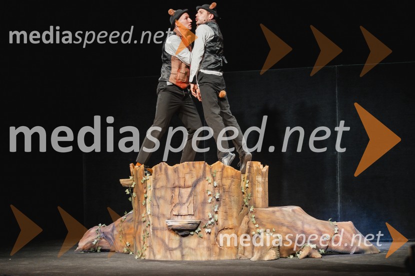 Otroški festival gledaliških sanj, Pionirski dom