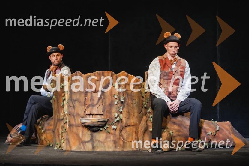 Otroški festival gledaliških sanj, Pionirski dom