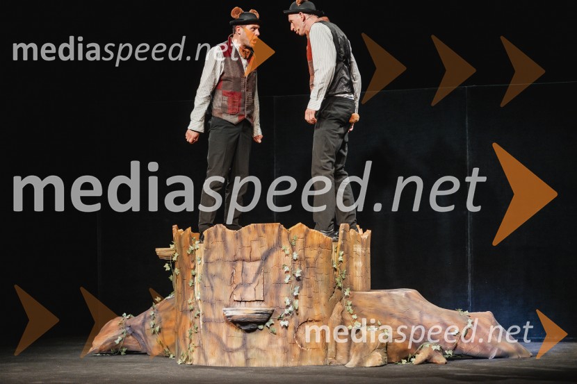 Otroški festival gledaliških sanj, Pionirski dom