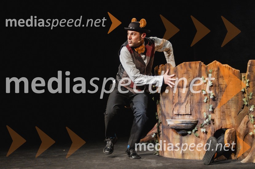 Otroški festival gledaliških sanj, Pionirski dom