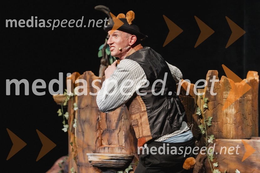 Otroški festival gledaliških sanj, Pionirski dom