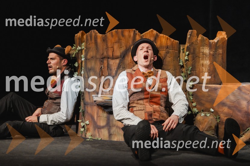 Otroški festival gledaliških sanj, Pionirski dom