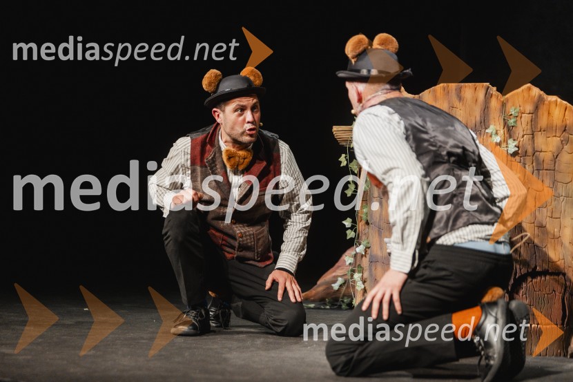 Otroški festival gledaliških sanj, Pionirski dom