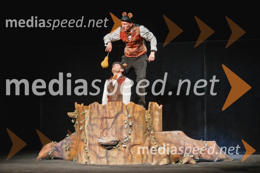 Otroški festival gledaliških sanj, Pionirski dom