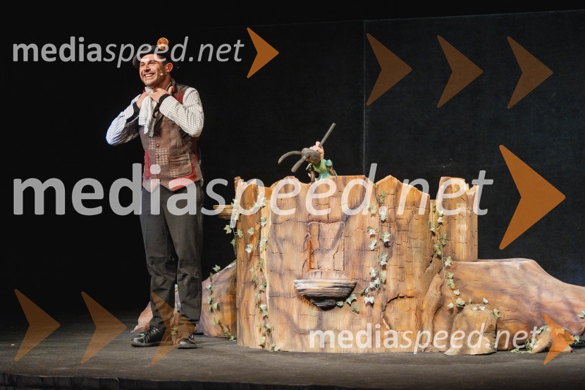 Otroški festival gledaliških sanj, Pionirski dom