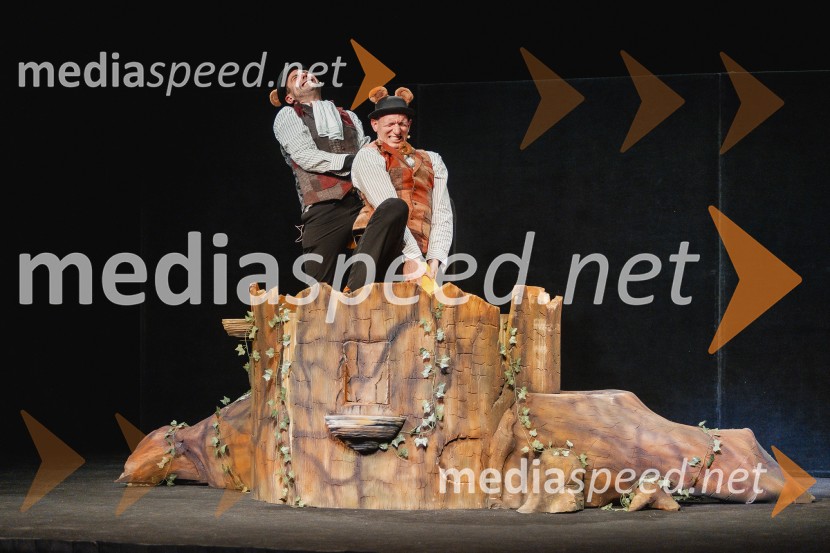 Otroški festival gledaliških sanj, Pionirski dom