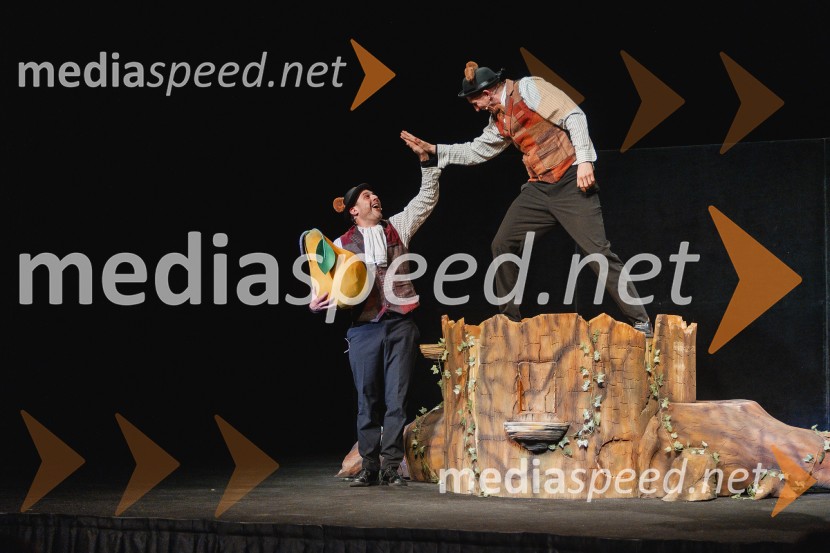 Otroški festival gledaliških sanj, Pionirski dom