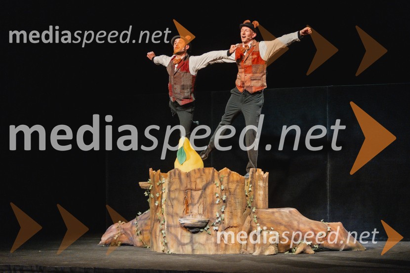 Otroški festival gledaliških sanj, Pionirski dom