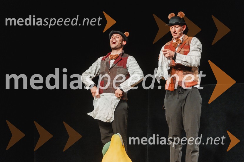 Otroški festival gledaliških sanj, Pionirski dom