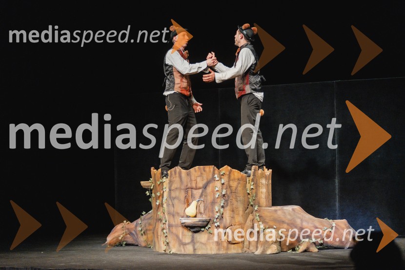 Otroški festival gledaliških sanj, Pionirski dom