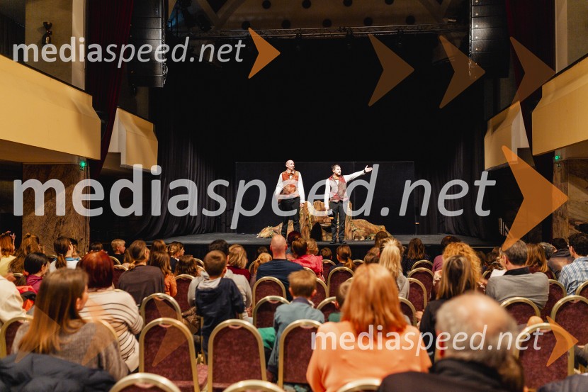 Otroški festival gledaliških sanj, Pionirski dom