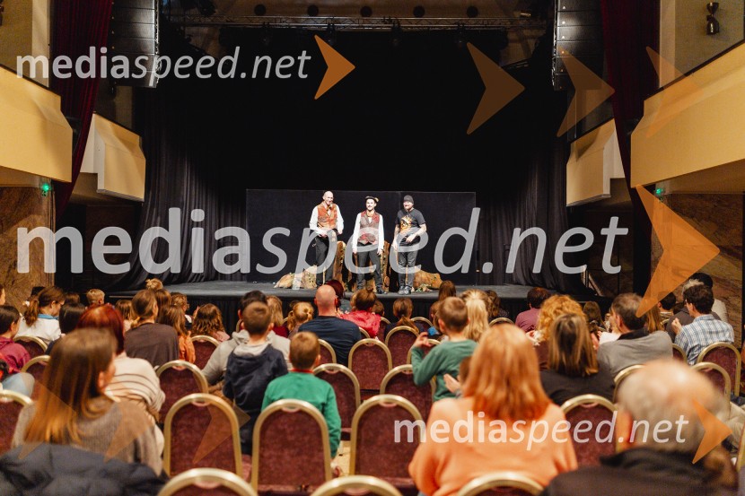 Otroški festival gledaliških sanj, Pionirski dom