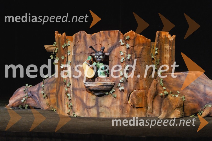 Otroški festival gledaliških sanj, Pionirski dom