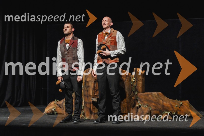 Otroški festival gledaliških sanj, Pionirski dom